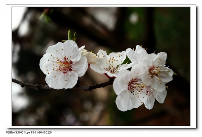IMGP3973_调整大小.jpg
