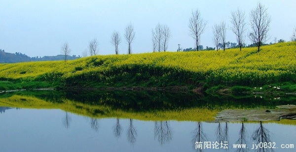 DSCF6884aa.jpg