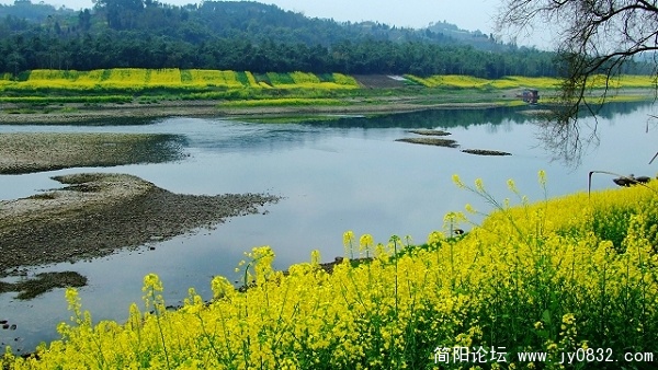 DSCF6749aa.jpg