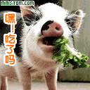 20090228_1d7b5bd8a6ca4370092ezHUaa7Vn4zfC.gif