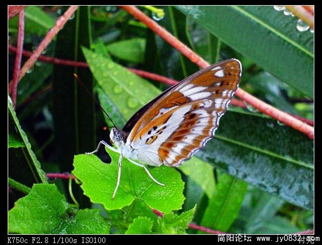 DSC00167.JPG