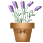 herb-001.gif
