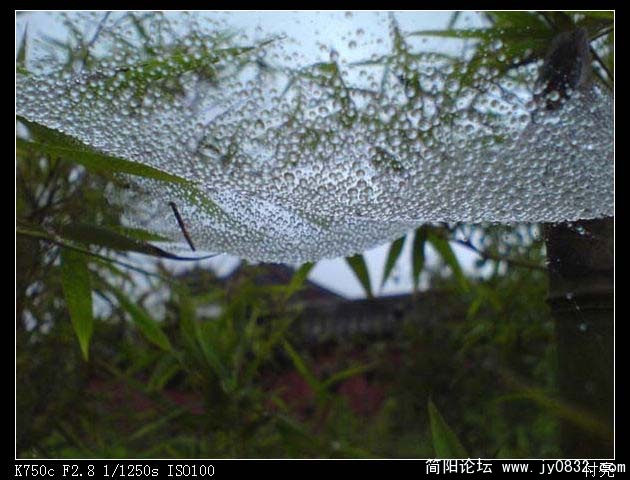 DSC00145.JPG