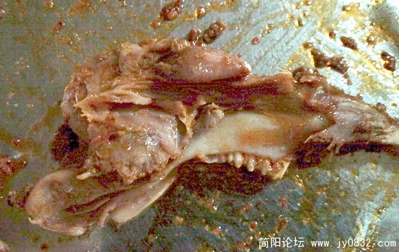 照片0581.jpg
