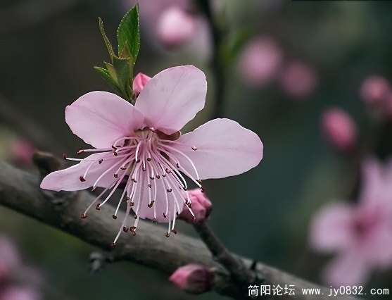 照片 020.jpg