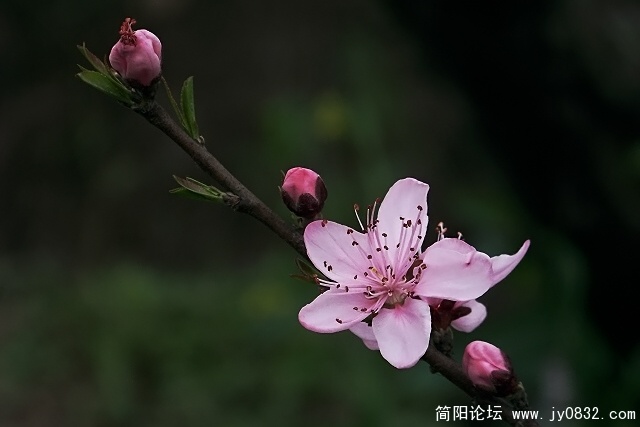 照片 039.jpg
