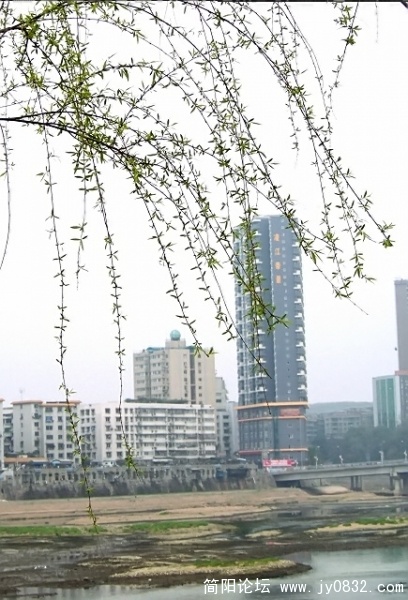 照片 084.jpg