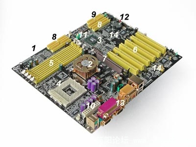 61269.jpg