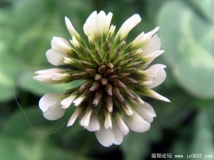 S73R3188.JPG