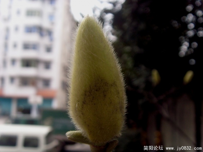 S73R3144.JPG