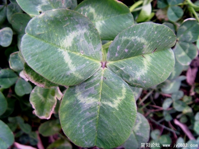S73R3184.JPG