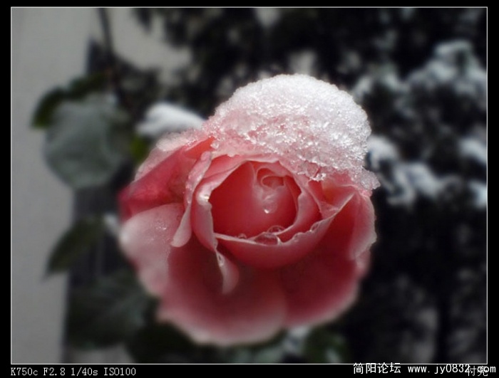 DSC00327.JPG