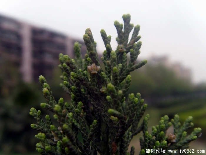 S73R3191.JPG