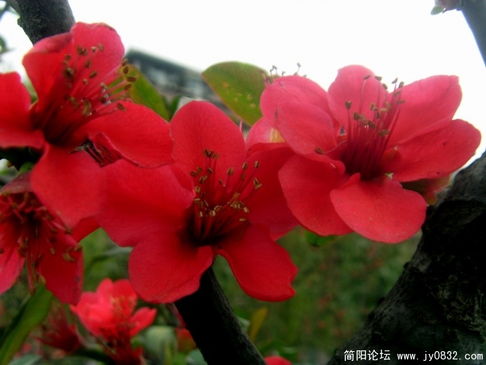 S73R3183.JPG