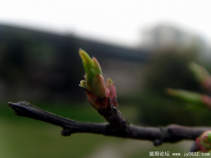 S73R3193.JPG