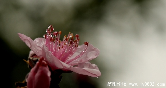 照片 354.jpg