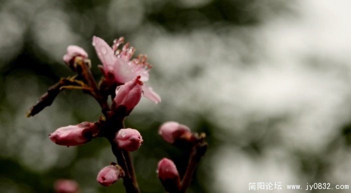 照片 351.jpg
