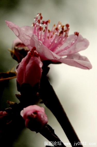 照片 353.jpg