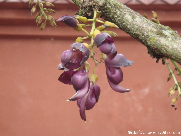 调整大小 4.JPG
