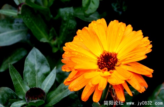 照片 254.jpg