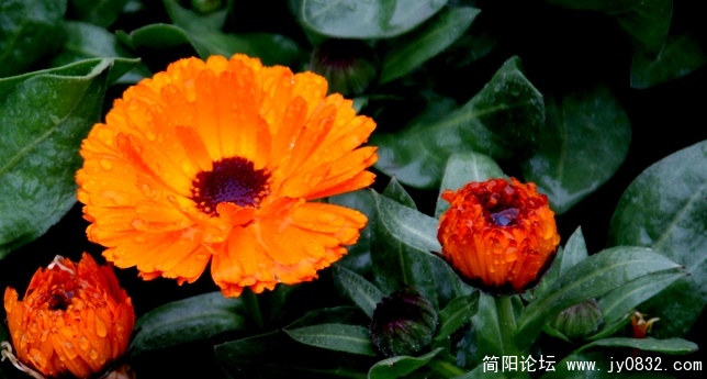 照片 256.jpg
