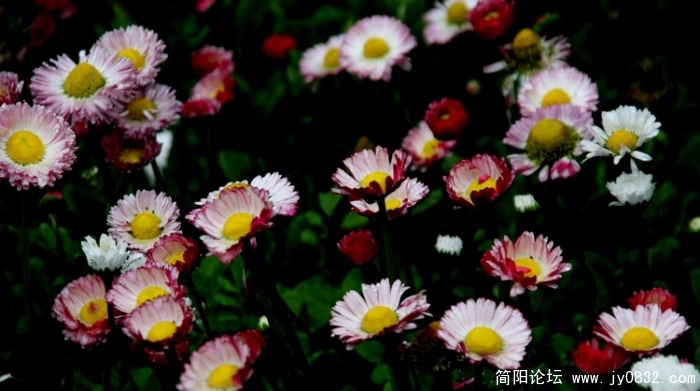 照片 248.jpg