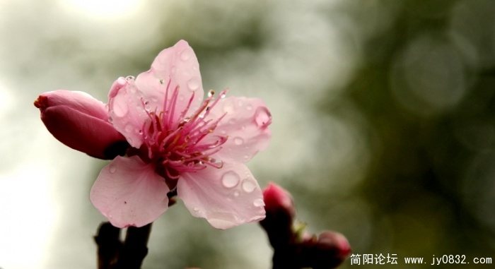 照片 364.jpg