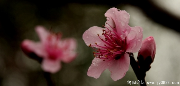 照片 358.jpg