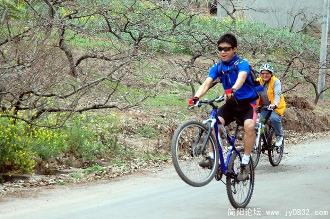BigBull_DSC_0595.JPG