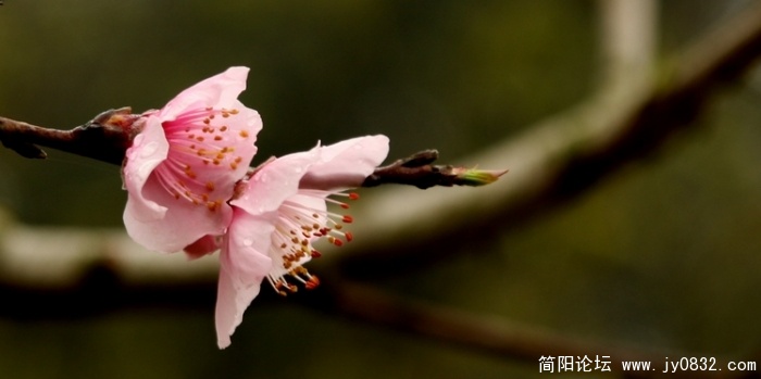 照片 381.jpg