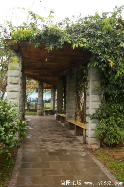 IMGP4335.jpg