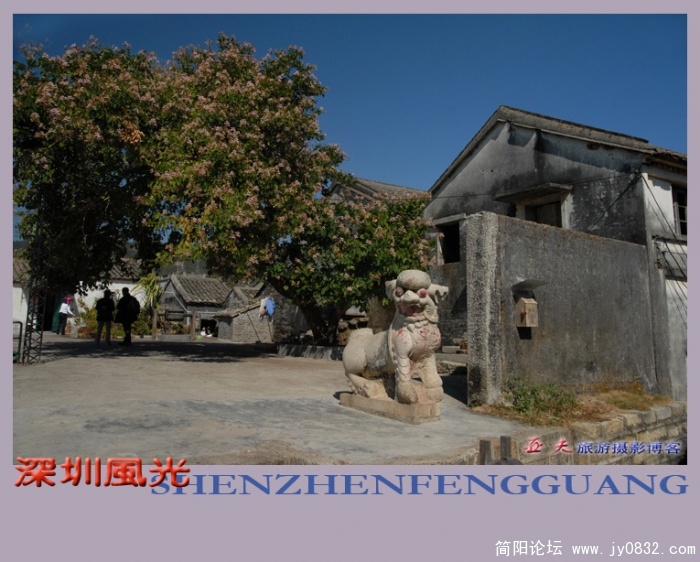 深圳风光之四——04副本.jpg