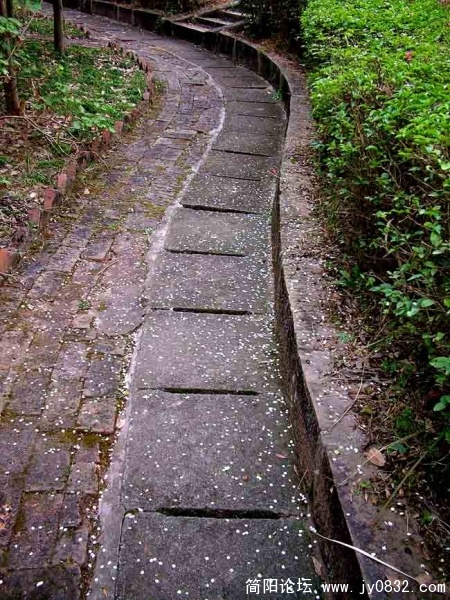 03.jpg