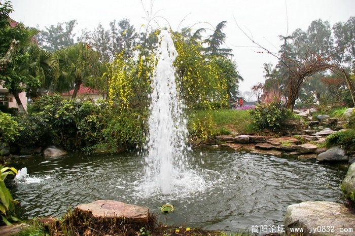 IMGP4303.jpg