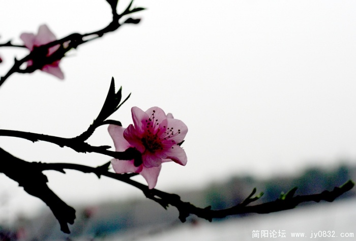 IMG_0237副本.jpg