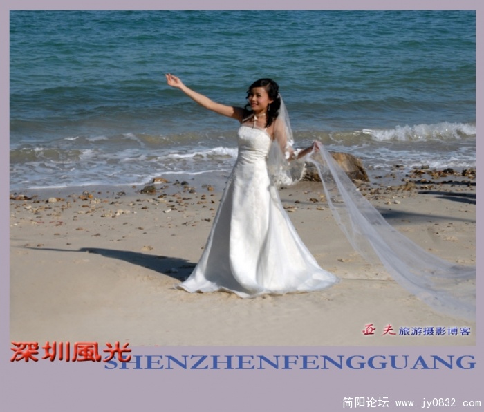 深圳风光之四——02副本副本.jpg
