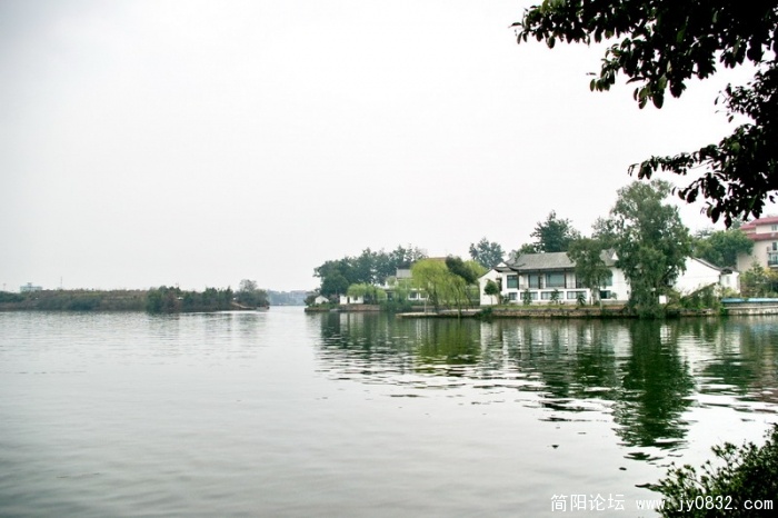IMGP4099.jpg