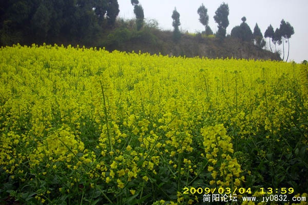 DSCI0927.jpg