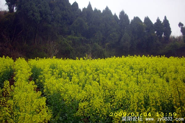 DSCI0928.jpg