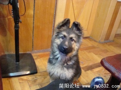 看这个大鼻子哦～