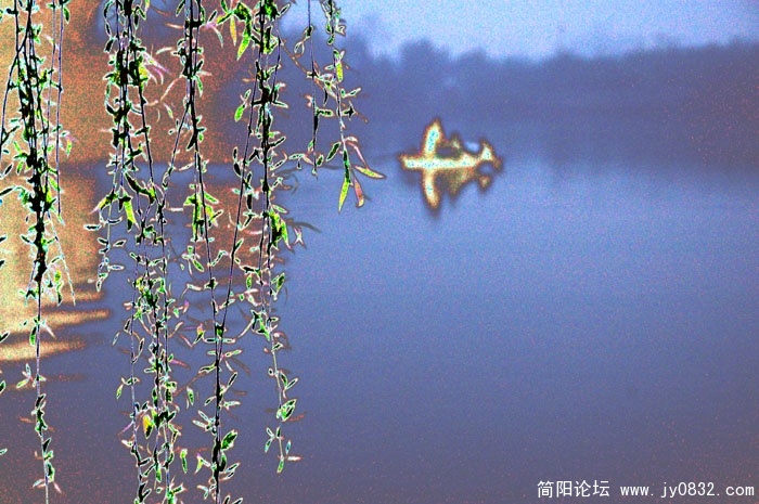 春天来了 (1)9.jpg