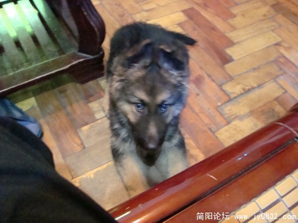 看啥子嘛看，没看到过帅哥嗦？