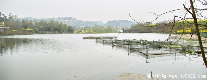 IMGP4367.jpg