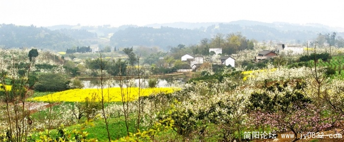 IMGP4372.jpg