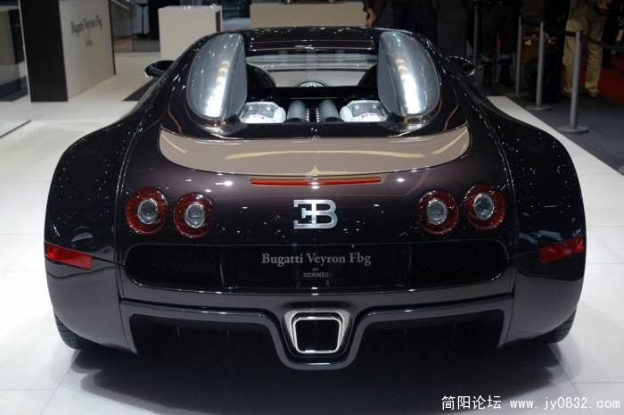 03bug_fgb_hermes_gen03.jpg