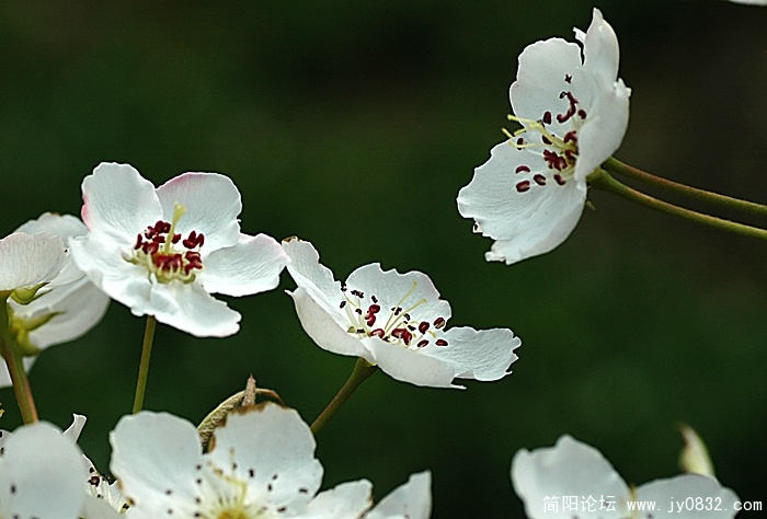 DSC_3202 拷贝.jpg
