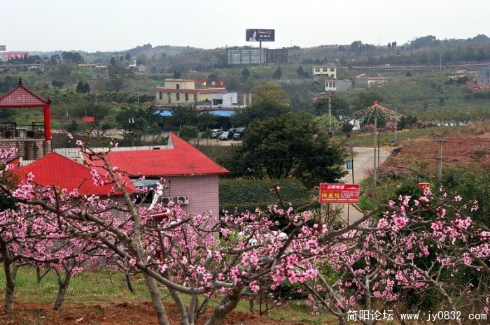 IMGP4450.jpg
