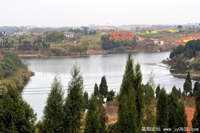IMGP4453.jpg