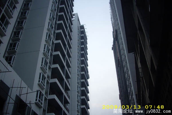 DSCI1159.jpg