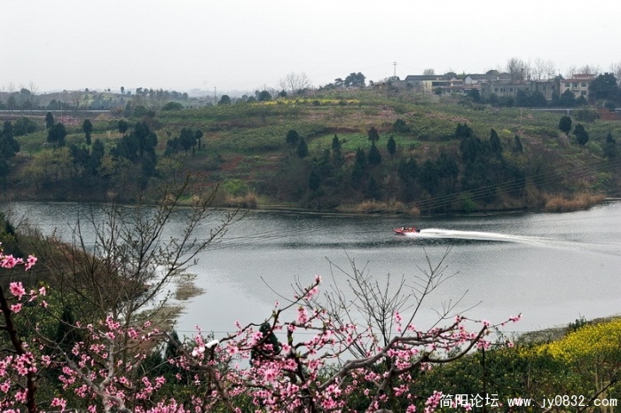 IMGP4449.jpg
